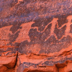 Petroglyphs     Valley of Fire - Image 15 of 72