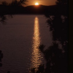 Sunset - Image 18 of 44