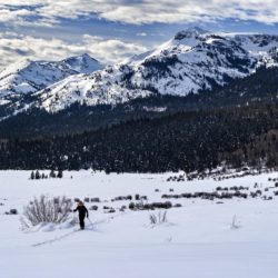 Ski Hope Valley - Image 38 of 44