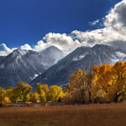 Carson Valley color - Image 1 of 72