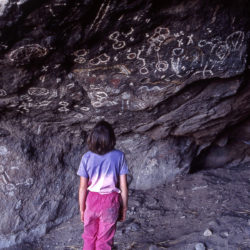 Pictographs - Image 4 of 72