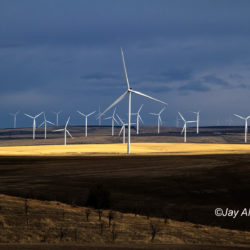 Wind Farm Oregon - Image 66 of 72