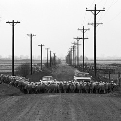 Buckeye Road 1985 - Image 6 of 72