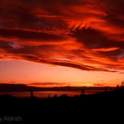 Red Sunset - Image 16 of 44