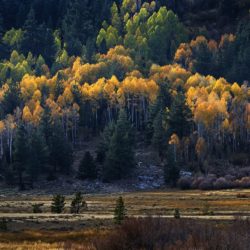 Autumn - Image 43 of 44