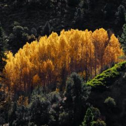 Light & Shadow - Image 34 of 44