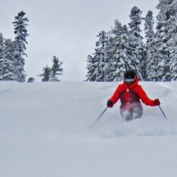 North Bowl - Image 41 of 44