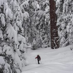 Skiing Old Luther Grade - Image 39 of 44