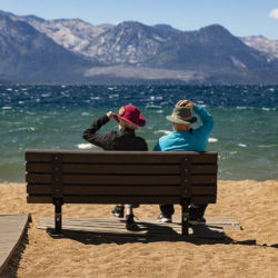 Windy Day - Image 3 of 44