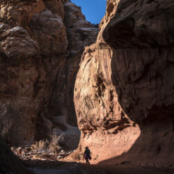 Capitol Gorge - Image 8 of 20