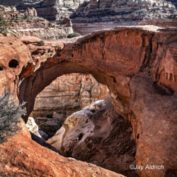 Cassidy Arch - Image 9 of 20