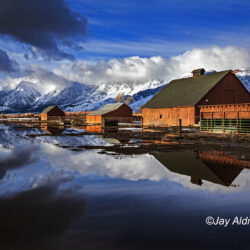 Dairy - Image 74 of 76