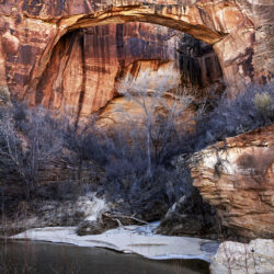 Escalante Natural Bridge1 - Image 10 of 20