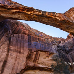Escalante Natural Bridge2 - Image 11 of 20