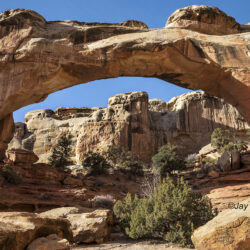 Hickman Bridge1 - Image 3 of 20