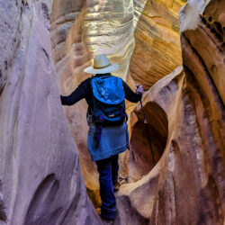 Little Wild Horse Canyon - Image 16 of 20