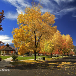 Minden Town - Image 75 of 76