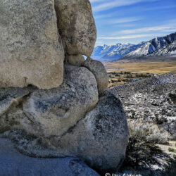 Old Stone Face - Image 76 of 76